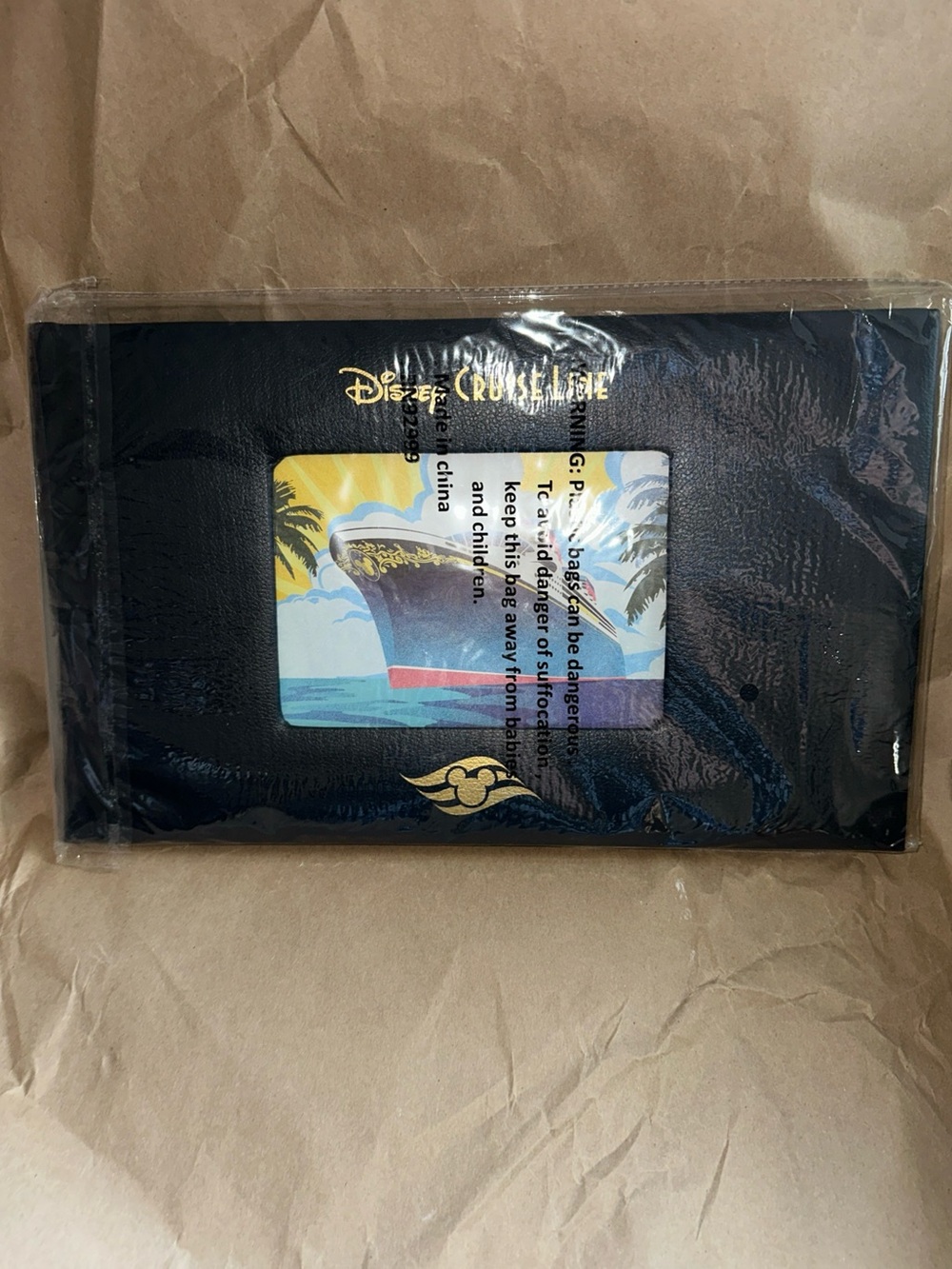 Disney Cruise Line Map Your Voyage Photo Album 15”x9”